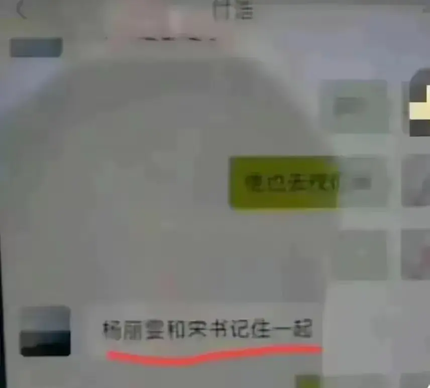 陕西宁强官员付某被曝出轨女下属,聊天记录内容引发热议
